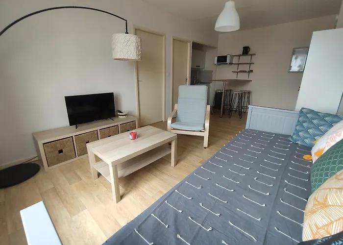 Charmant Appartement - 5 Mn Zoo De Beauval 4P